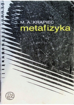 Metafizyka