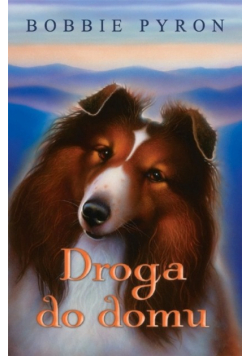 Droga do domu