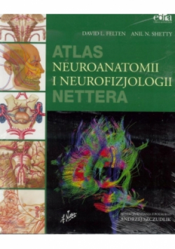 Atlas neuroanatomii i neurofizjologii Nettera