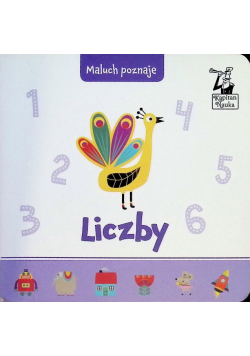 Maluch poznaje. Liczby