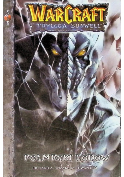 WarCraft Trylogia Sunwell Tom II