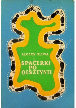 Spacerki po Olsztynie
