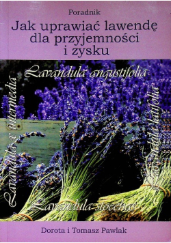 Jak uprawiać lawendę dla przyjemności i zysku