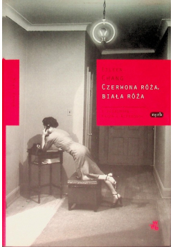 Czerwona róża biała róża