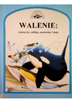 Walenie wieloryby delfiny morświny i inne