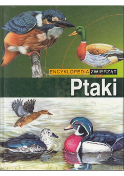 Ptaki Encyklopedia zwierząt