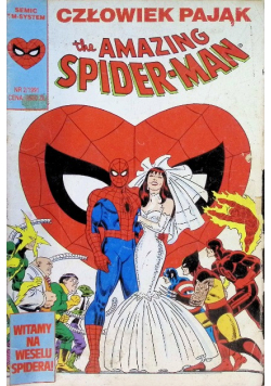 The Amazing Spider Man Nr 2