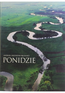 Ponidzie