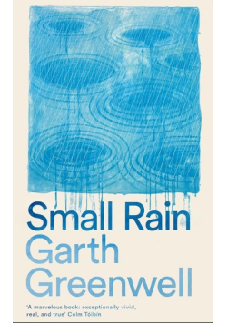 Small Rain