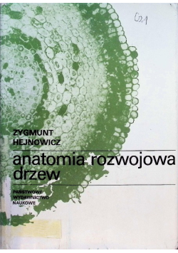 Anatomia rozwojowa drzew