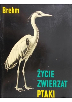 Życie zwierząt. Ptaki