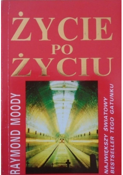 Życie po życiu