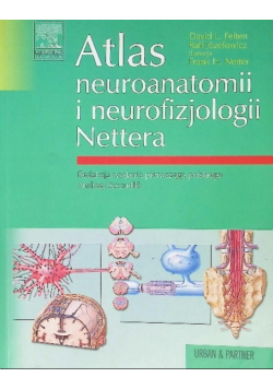 Atlas neuroanatomii i neurofizjologii Nettera