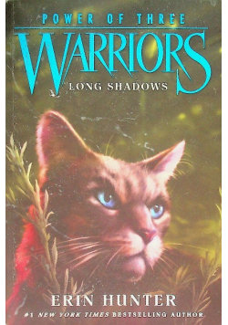 Power of Three Warriors Long Shadows