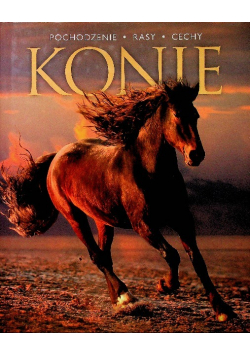 Konie Pochodzenie rasy cechy
