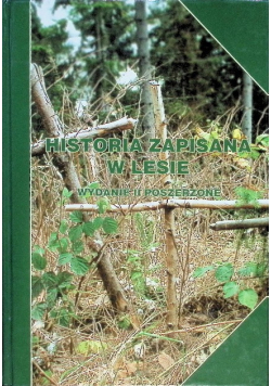 Historia zapisana w lesie