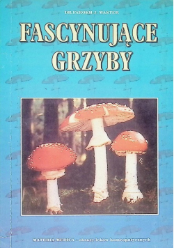 Fascynujące grzyby