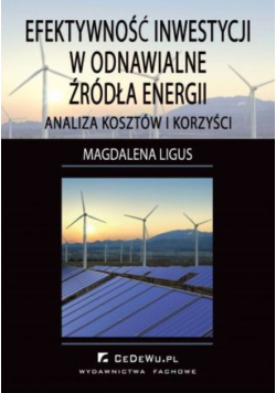 Efektywność inwestycji w odnawialne źródła energii