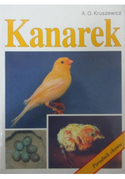 Kanarek