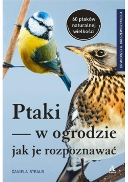 Ptaki w ogrodzie Jak je rozpoznawać