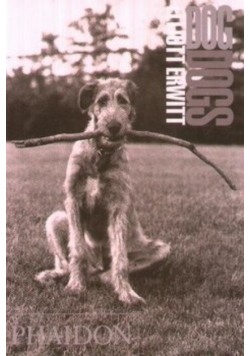 Dog Dogs