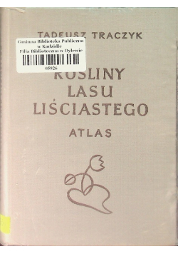 Rośliny lasu liściastego