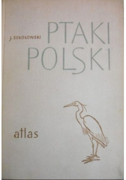 Ptaki Polski