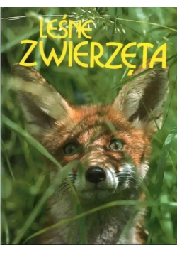 Leśne zwierzęta