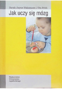 Jak uczy się mózg