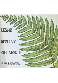 Leśne rośliny zielarskie