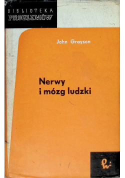 Nerwy i mózg ludzki
