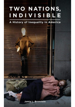 Two Nations, Indivisible : A History of Inequality in America