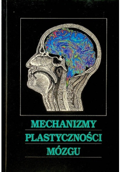 Mechanizmy plastyczności mózgu