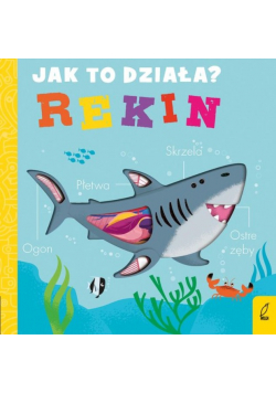 Jak to działa Rekin