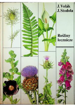 Rośliny lecznicze