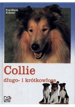 Collie długo i krótkowłose