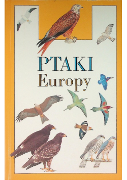 Ptaki Europy