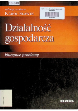 Działalność gospodarcza Kluczowe problemy