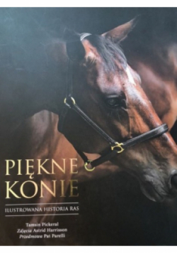 Piękne konie