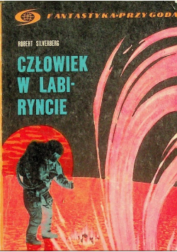 Człowiek w labiryncie