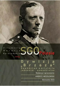 Dywizja "brzoza", Dowództwo, Artyleria. Jednostki Samodzielne