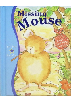 Missing Mouse