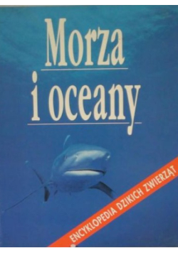 Morza i oceany