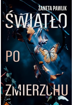 Światło po zmierzchu