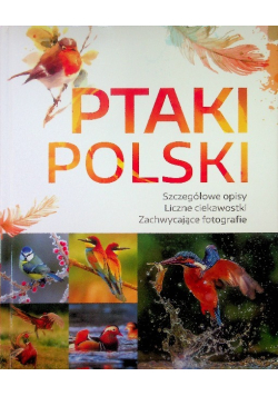 Ptaki Polski