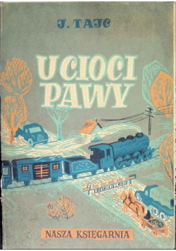U Cioci Pawy