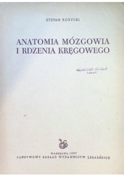 Anatomia mózgowa i rdzenia kręgowego