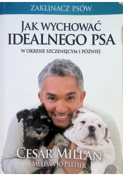Jak wychować idealnego psa