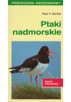 Ptaki nadmorskie