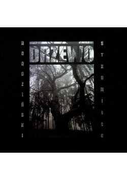 Drzewo